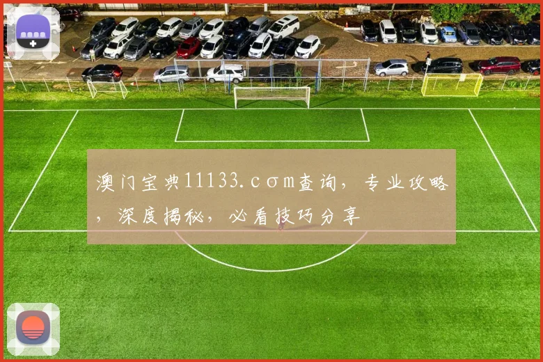 澳门宝典11133.cσm查询，专业攻略，深度揭秘，必看技巧分享