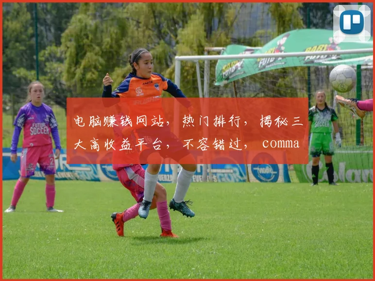电脑赚钱网站，热门排行，揭秘三大高收益平台，不容错过， commas