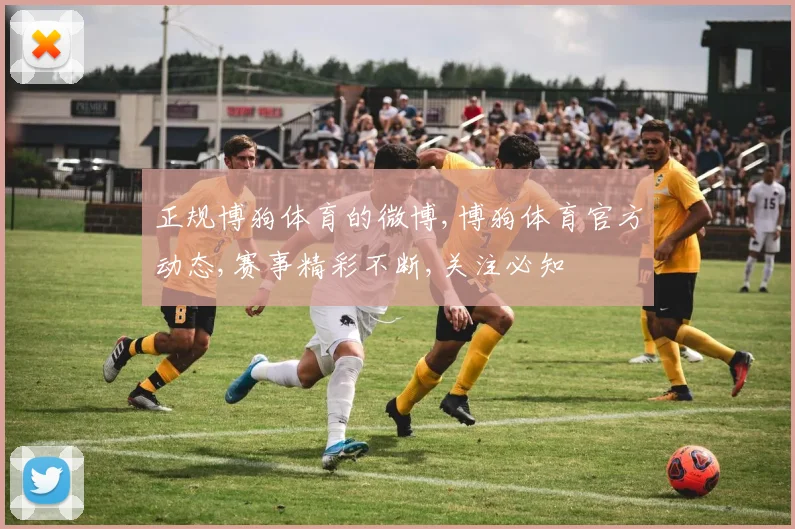 正规博狗体育的微博,博狗体育官方动态,赛事精彩不断,关注必知
