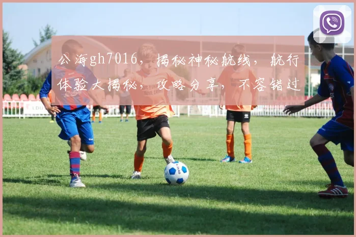 公海gh7016，揭秘神秘航线，航行体验大揭秘，攻略分享，不容错过