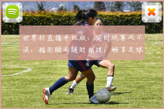 世界杯直播手机版，实时观赛两不误，精彩瞬间随时捕捉，畅享足球盛宴